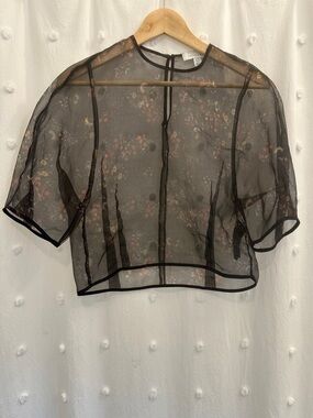 Top shop Sheer Black Floral Overlay Top